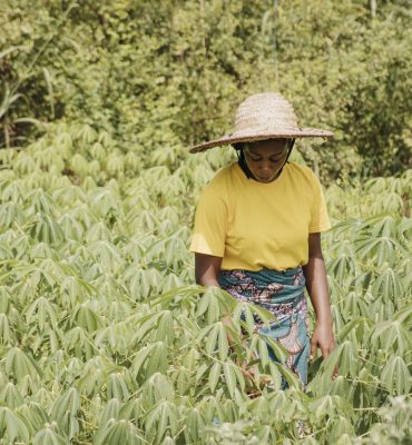 countryside-woman-out-field countryside-woman-out-field